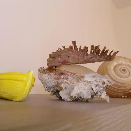 Momentum Appartamento *